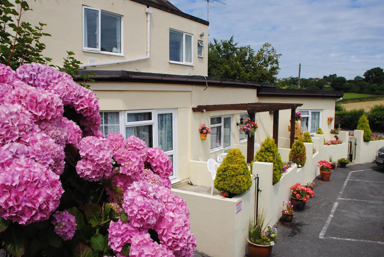 Huccaby Tor Apartmernt Torquay Dış mekan fotoğraf