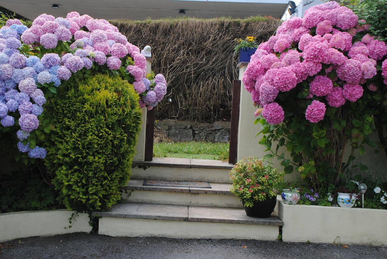 Huccaby Tor Apartmernt Torquay Dış mekan fotoğraf