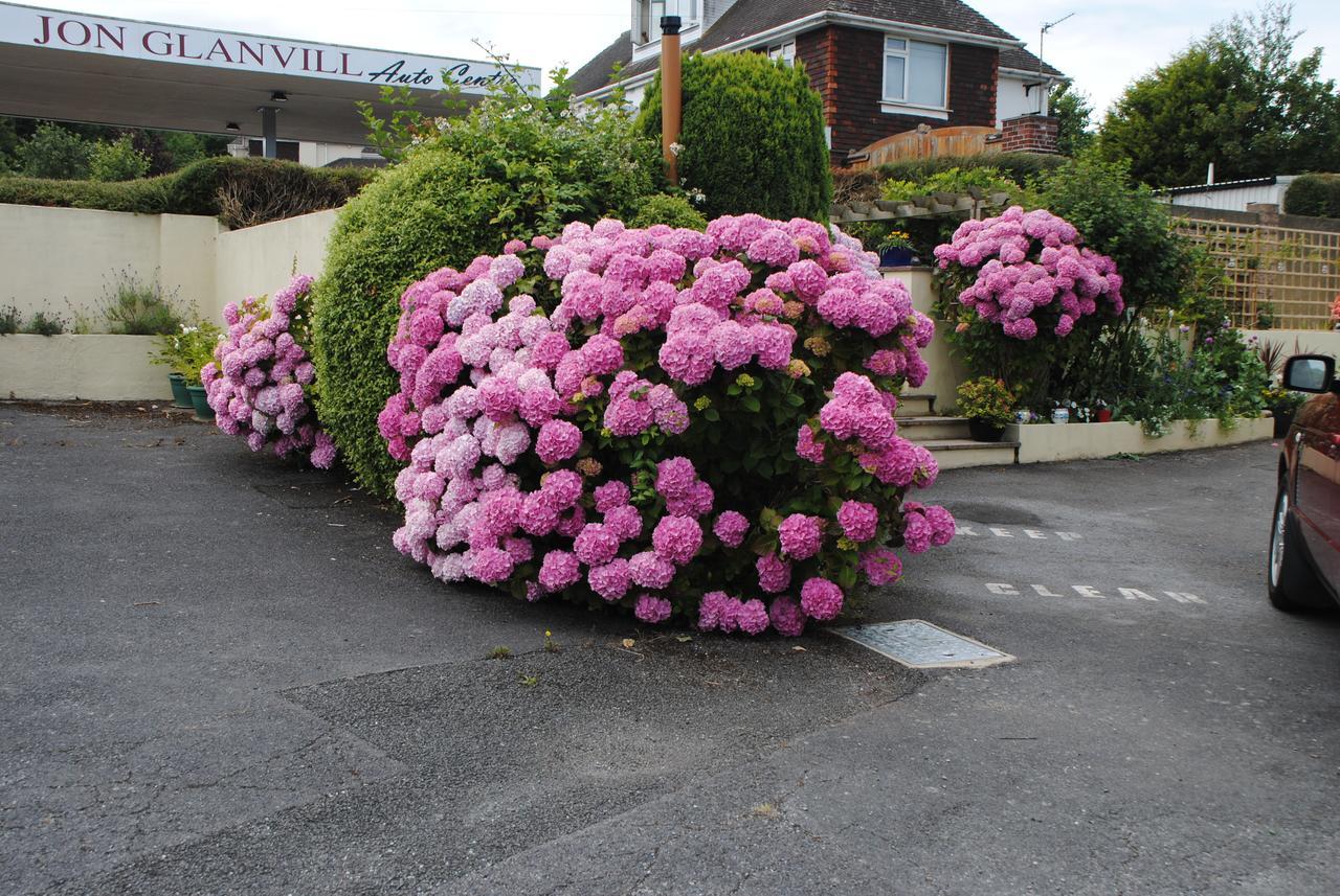 Huccaby Tor Apartmernt Torquay Dış mekan fotoğraf
